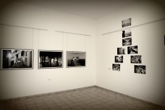 IMG 0547